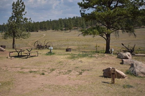 M Lazy C Ranch : 801 County Road 453, Lake George, CO 80827
